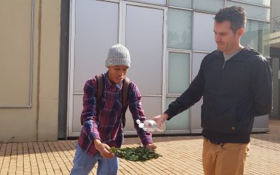 JC DECAUX FACE TESTING